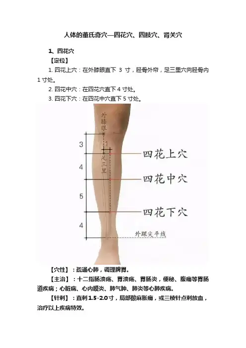 人体的董氏奇穴—四花穴、四肢穴、肾关穴