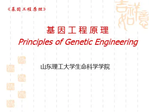 第七章重组子的筛选与鉴定