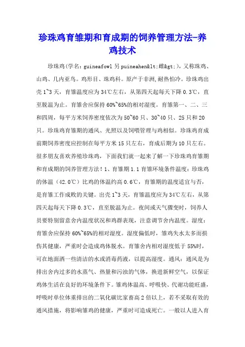 珍珠鸡育雏期和育成期的饲养管理方法 - 养鸡技术