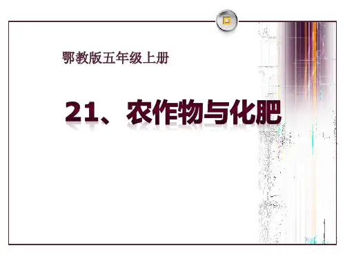 鄂教版五年级上册科学《农作物与化肥》农田PPT说课教学课件