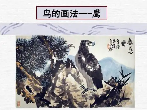 鸟的画法---鹰