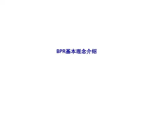 BPR基本理念介绍