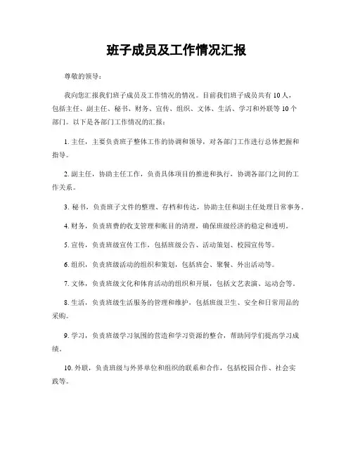 班子成员及工作情况汇报