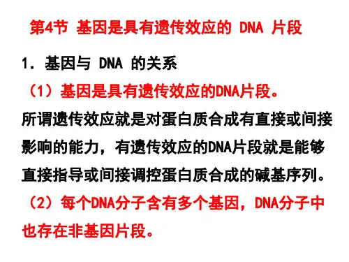 基因的本质及基因的表达