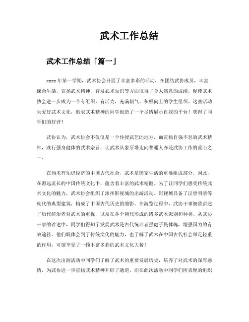 武术工作总结