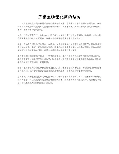 三相生物流化床的结构