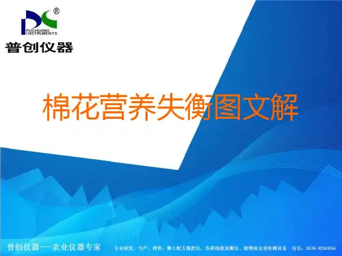 棉花营养失衡图文解——棉花缺素症状图