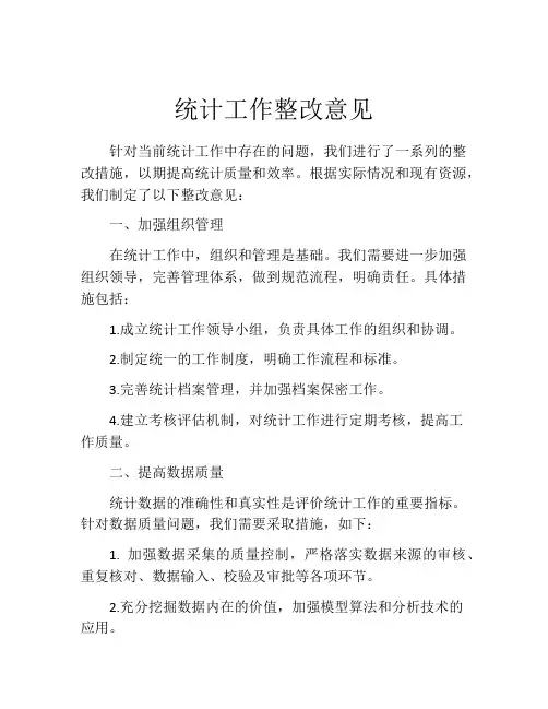 统计工作整改意见