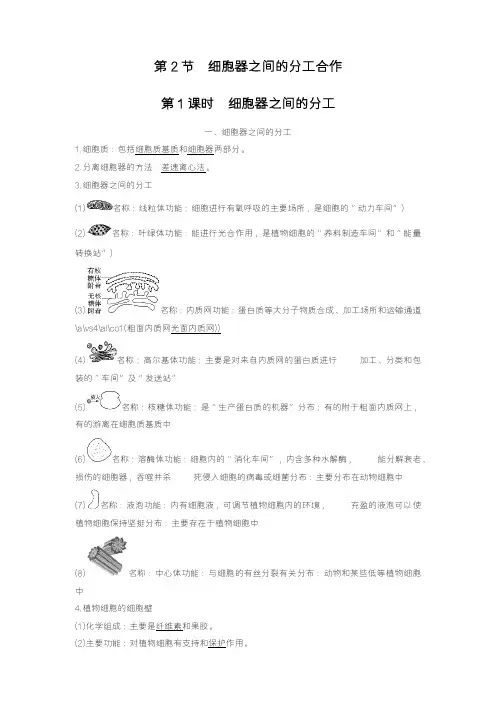 细胞器之间的分工