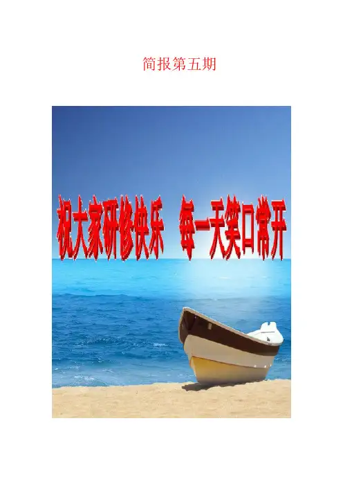 简报第五期