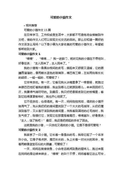 可爱的小猫作文