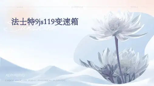 法士特9JS119变速箱