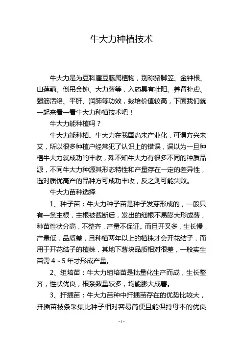 牛大力种植技术
