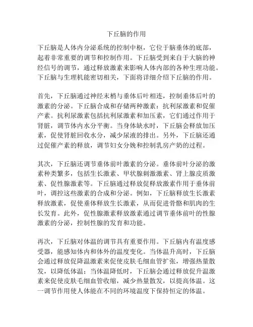 下丘脑的作用