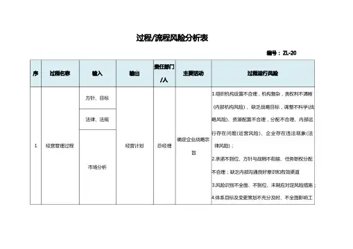 过程流程风险分析表