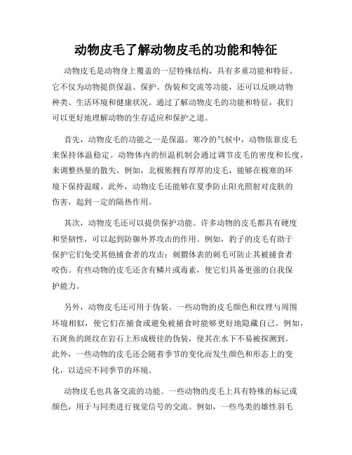 动物皮毛了解动物皮毛的功能和特征