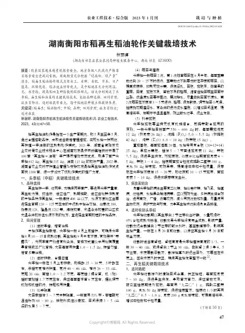 211059621_湖南衡阳市稻再生稻油轮作关键栽培技术