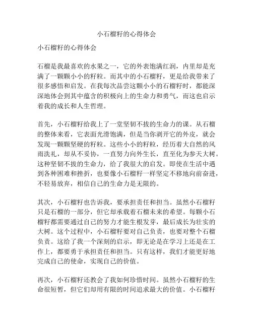 小石榴籽的心得体会