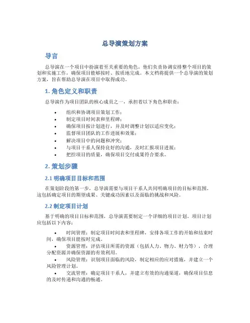 总导演策划方案
