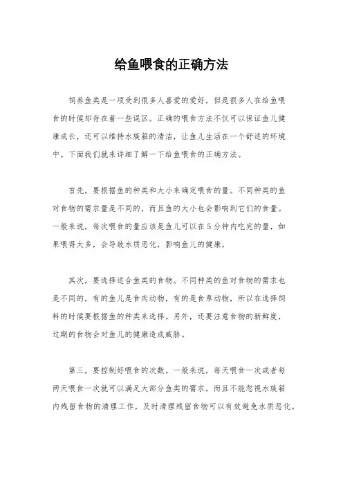给鱼喂食的正确方法