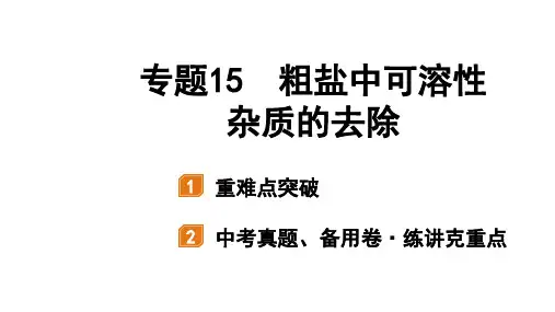 中考化学第二轮专题复习课件：专题十五粗盐中可溶性杂质的去除(共29页)