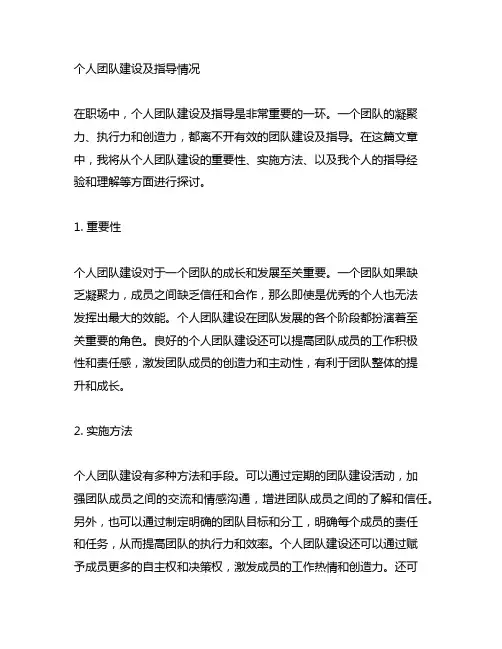 个人团队建设及指导情况怎么写简短