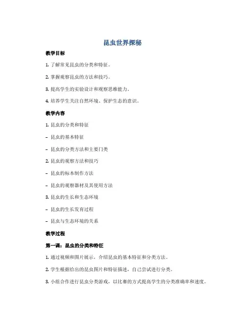 《昆虫世界探秘》(教案)2022-2023学年综合实践活动六年级下册