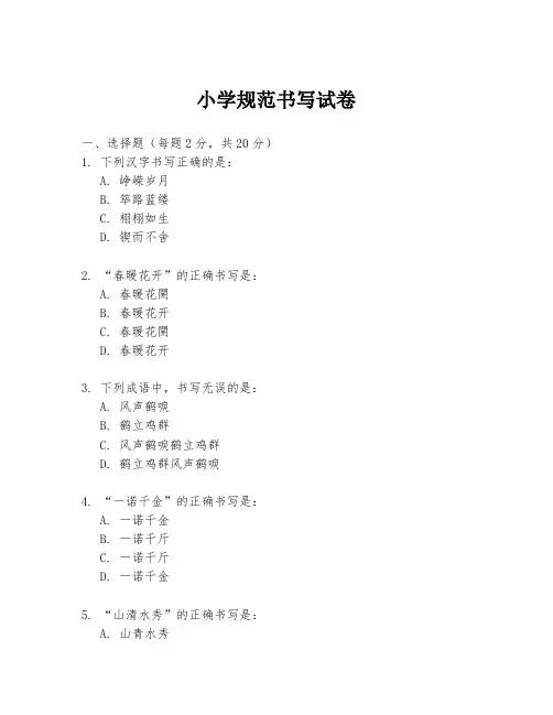 小学规范书写试卷