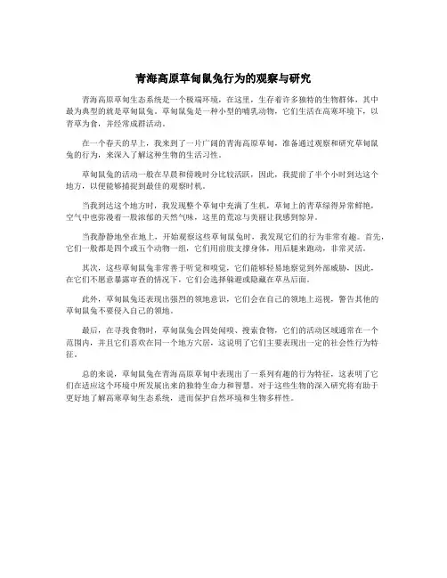 青海高原草甸鼠兔行为的观察与研究