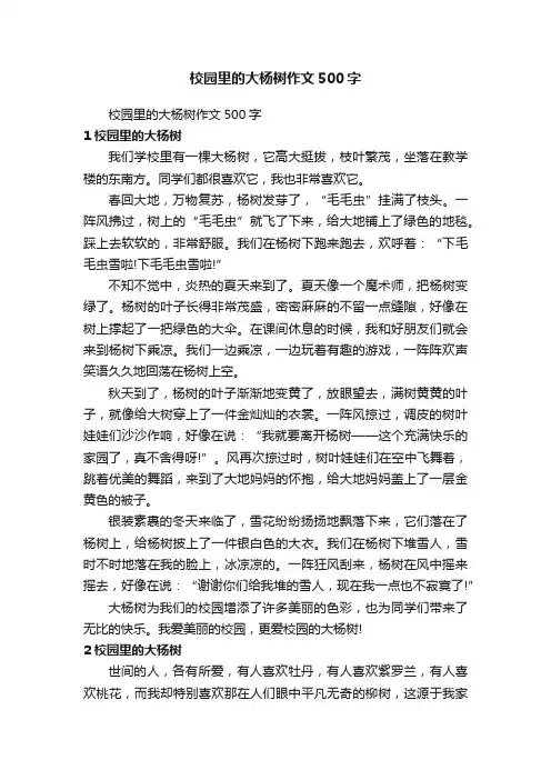 校园里的大杨树作文500字