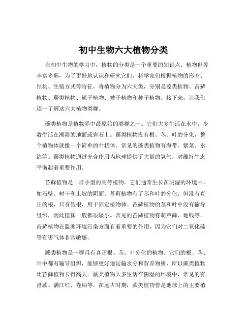 初中生物六大植物分类