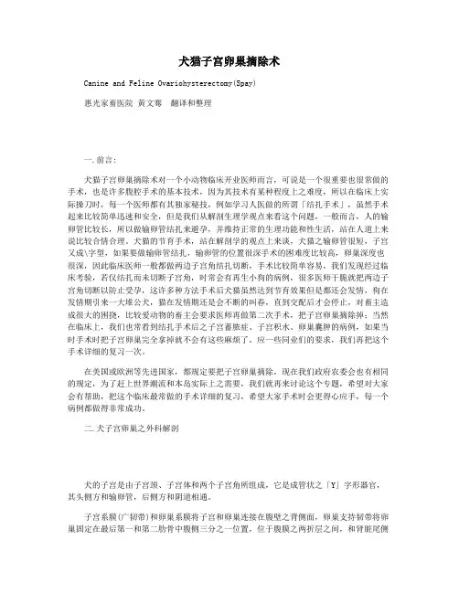 犬猫子宫卵巢摘除术