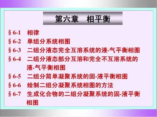 物理化学06相平衡