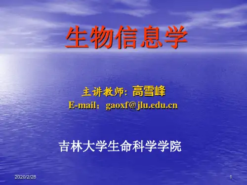 生物信息学