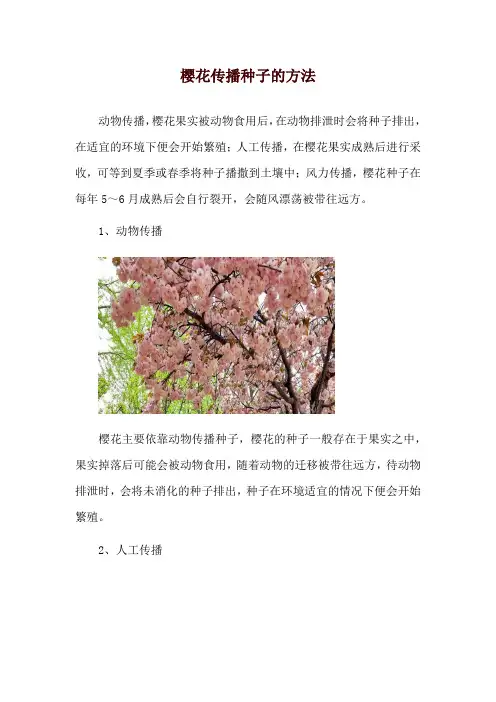 樱花传播种子的方法