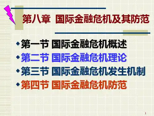 第8讲 国际金融危机PPT课件
