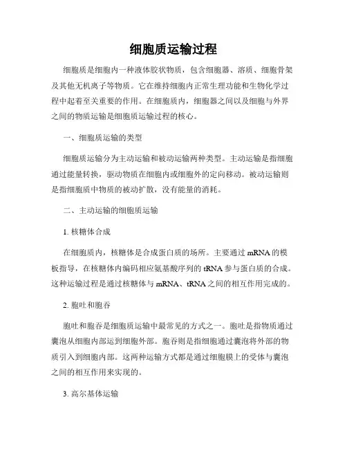 细胞质运输过程
