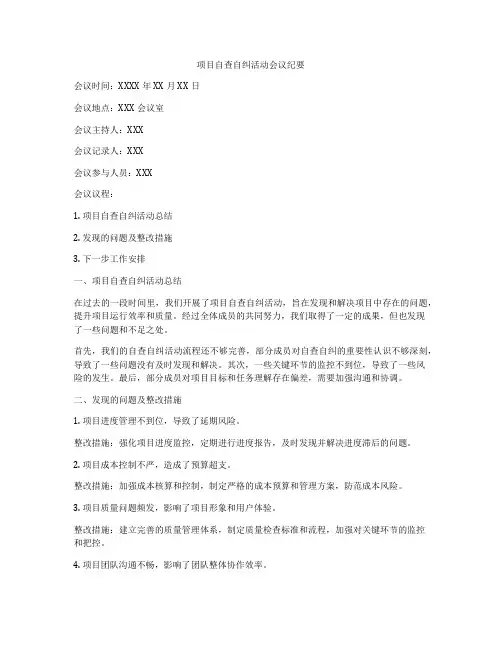 项目自查自纠活动会议纪要