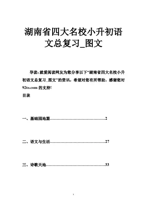 湖南省四大名校小升初语文总复习图文