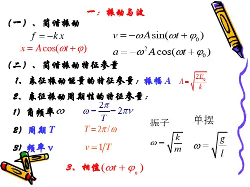 波动光学总结 PPT课件
