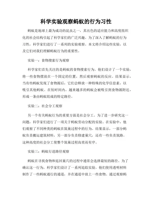 科学实验观察蚂蚁的行为习性
