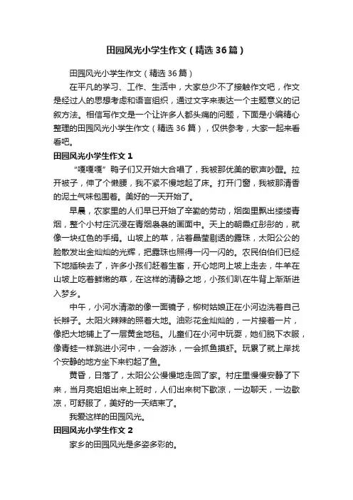 田园风光小学生作文（精选36篇）
