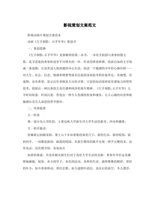影视策划文案范文