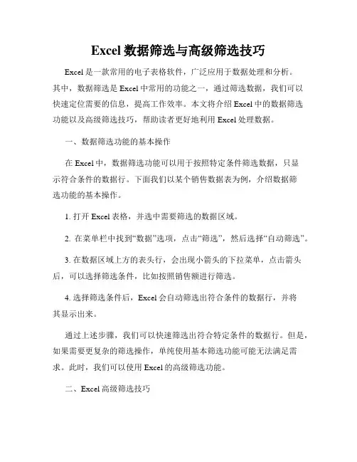 Excel数据筛选与高级筛选技巧