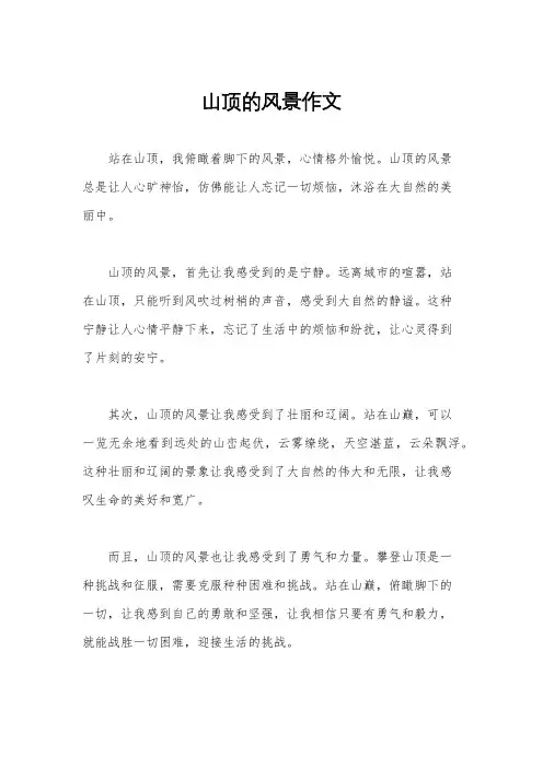 山顶的风景作文