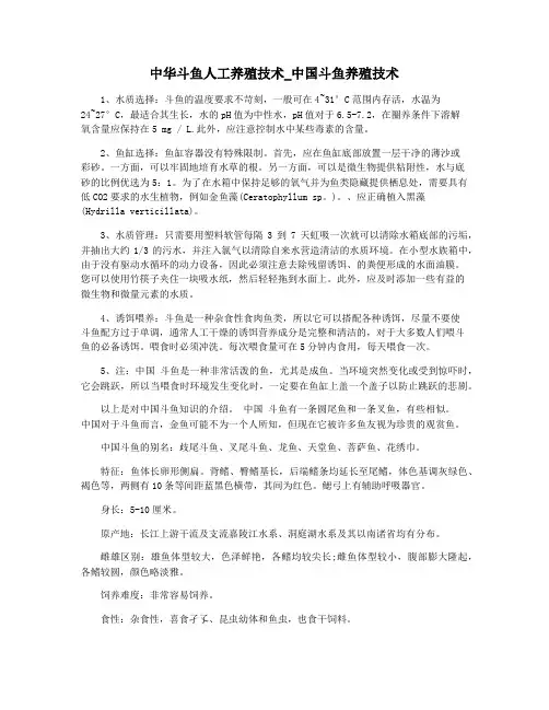 中华斗鱼人工养殖技术_中国斗鱼养殖技术