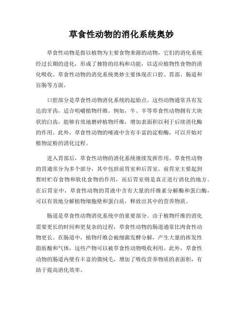 草食性动物的消化系统奥妙