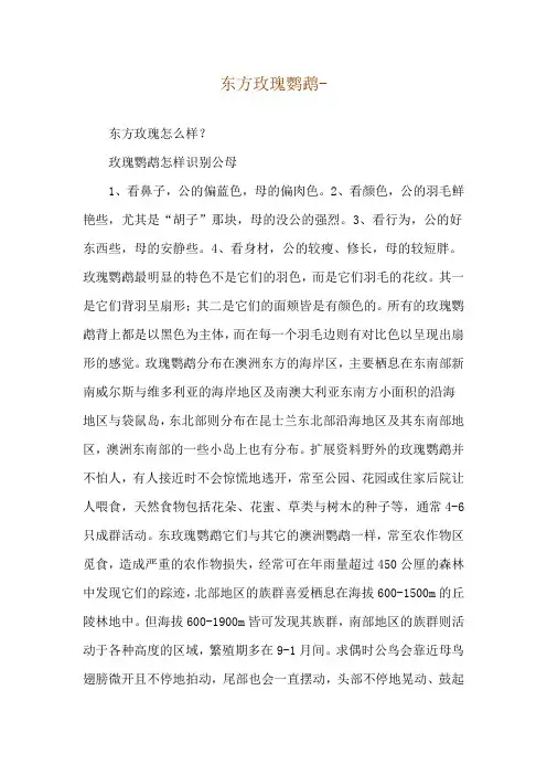 东方玫瑰鹦鹉--东方玫瑰怎么样？_1