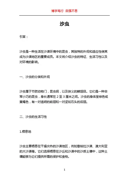 沙虫_精品文档