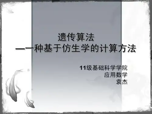 遗传算法初等知识PPT